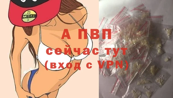 марки lsd Белокуриха