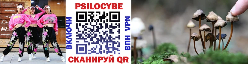 MEGA tor  Щёлково  Галлюциногенные грибы Psilocybine cubensis 